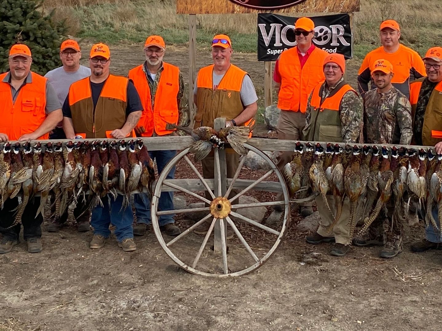 South Dakota pheasant hunting guide with a finished Labrador retriever